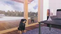 Rottweiler Dog Simulator Screen Shot 17