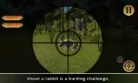 Animais da selva Hunter Screen Shot 3