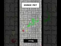 Snake Snack Screen Shot 0