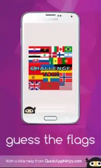 you know all this flags?? Screen Shot 7