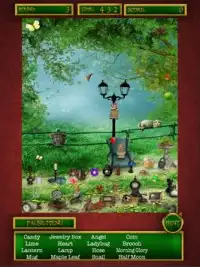 Hidden Object Fairy Forests Screen Shot 9