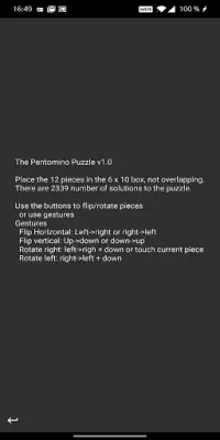 Pentomino Puzzle Free Screen Shot 1