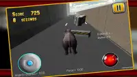 Angry Rhino Simulator 3D Screen Shot 2