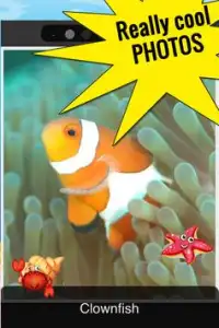 Funny Fish Games and Photos Screen Shot 1