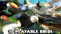 Ultimate Bird Simulator Screen Shot 1