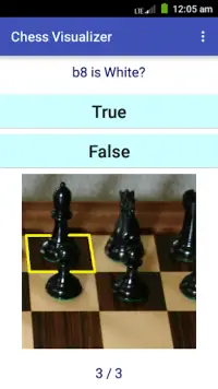 Chess Vision Screen Shot 1