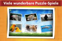 Puzzlespiel mit Tieren Kinder Screen Shot 6