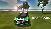 City Rally Car Simulator Screen Shot 1