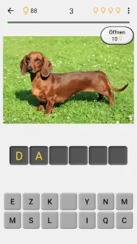 Hunde - Foto-Quiz über alle beliebten Hunderassen Screen Shot 1