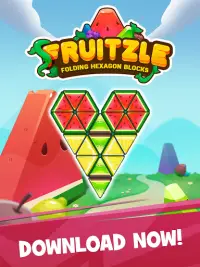 Fruitzle - Folding Hexagon Blocks Puzzle Screen Shot 11