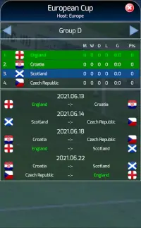 True Football National Manager Screen Shot 6