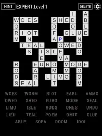 Fill-Ins Puzzle Game Screen Shot 7