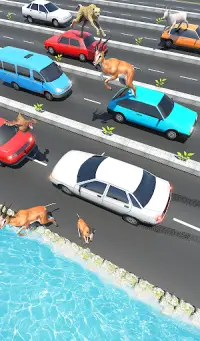 Animal Pets Traffic Highway Cross Screen Shot 4