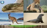 Учим животных и звуки для малышей Screen Shot 6