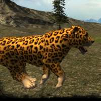 Cheetah réel Simulator