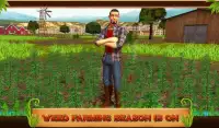 Weed Farming Game 2018 Screen Shot 8