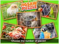 Birds Jigsaw Puzzle Screen Shot 2