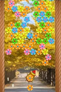 Flowers Bubble Shooter Screen Shot 6