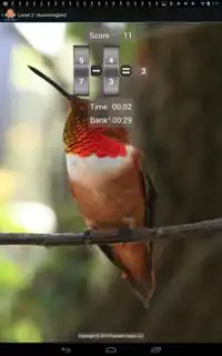 Math Bird Screen Shot 5