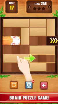 Unblock  Puzzle Wood Game Screen Shot 0
