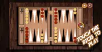 Super Backgammon Pro – 1 or 2 Player Backgammon Screen Shot 2