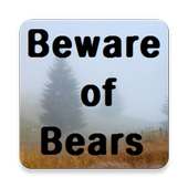 Beware of Bears: Survival Sim