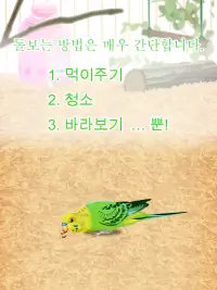 힐링의 잉꼬 육성 게임 Screen Shot 7
