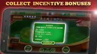 Blackjack 21 Pro - Free Offline Screen Shot 5