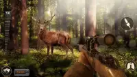 Deer Hunting Jungle Simulator Screen Shot 3