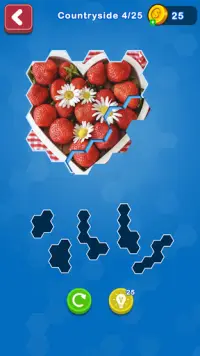 Hexa Puzzle Jigsaw: Anime Collection Screen Shot 0