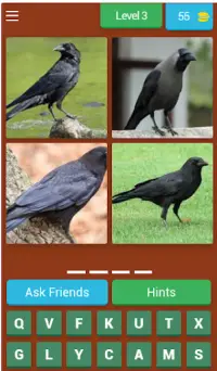 Birds Quiz Screen Shot 3