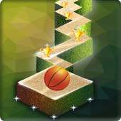 Zig Zag Basket Ball