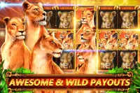 Slots FREE: Great Cat Slots™ Casino Slot Machine Screen Shot 1