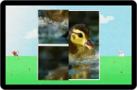 Baby Animals Puzzle Screen Shot 9