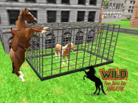 Wild Pony Horse Run Simulator Screen Shot 6