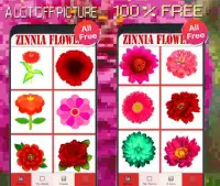 Zinnia Flowers Color By Number-Pixel Art 2020 Screen Shot 5