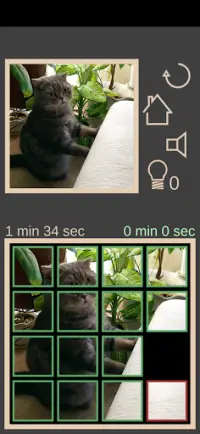 Collect The Cat Screen Shot 4