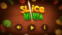 Slice Ninja Screen Shot 0