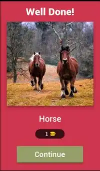 Guess The Animals Quiz Screen Shot 1