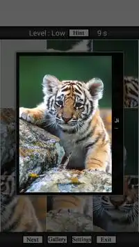 Puzzle Animal For Children Screen Shot 2