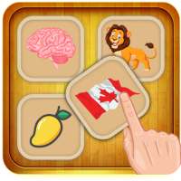 Brain Training: Twisted Brain
