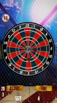 Darts Challenge Screen Shot 2