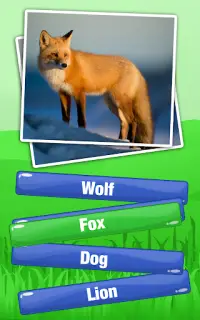 लगता है  जानवर मुक्त प्रश्नोत्तरी खेल -जानवर खेल Screen Shot 5