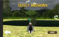 Jungle Sniper Hunting Birds 3D Screen Shot 2