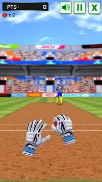 Cricket Fielding Challenge Screen Shot 2