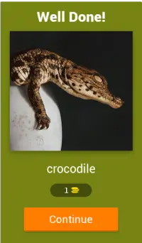 Cute Animal Quiz Screen Shot 1