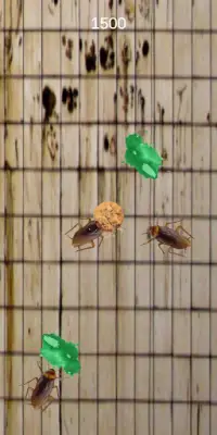 Stop the Cockroach! Screen Shot 3