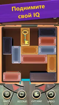 Unblock Puzzle: Slide Blocks Screen Shot 1