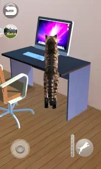 Talking Reality Cat Screen Shot 3