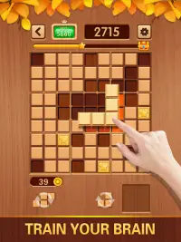 Woody Tetris - Blocks Puzzle Screen Shot 10